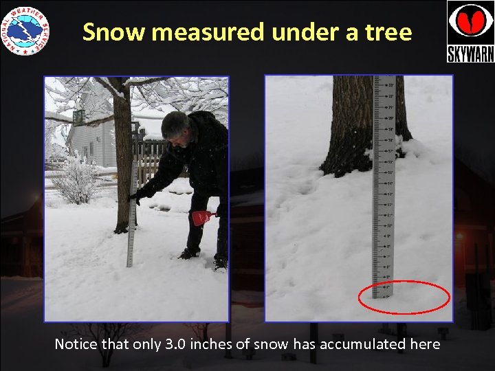 Snow measured under a tree Notice that only 3. 0 inches of snow has