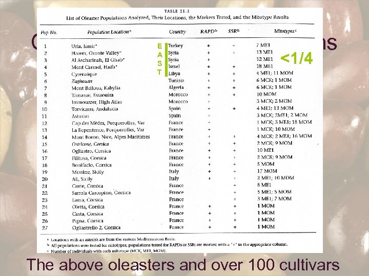 Oleaster population collections E A S T <1/4 The above oleasters and over 100
