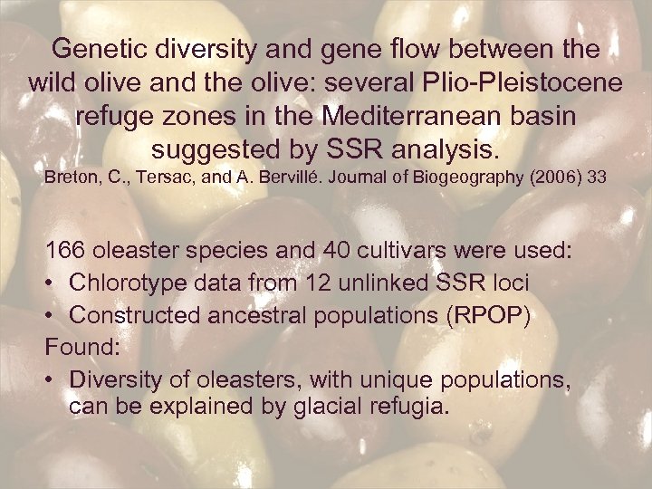 Genetic diversity and gene flow between the wild olive and the olive: several Plio-Pleistocene