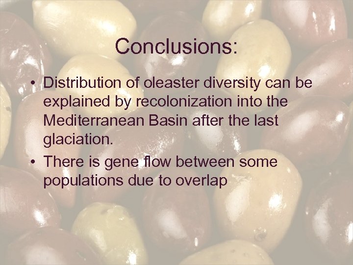 Conclusions: • Distribution of oleaster diversity can be explained by recolonization into the Mediterranean