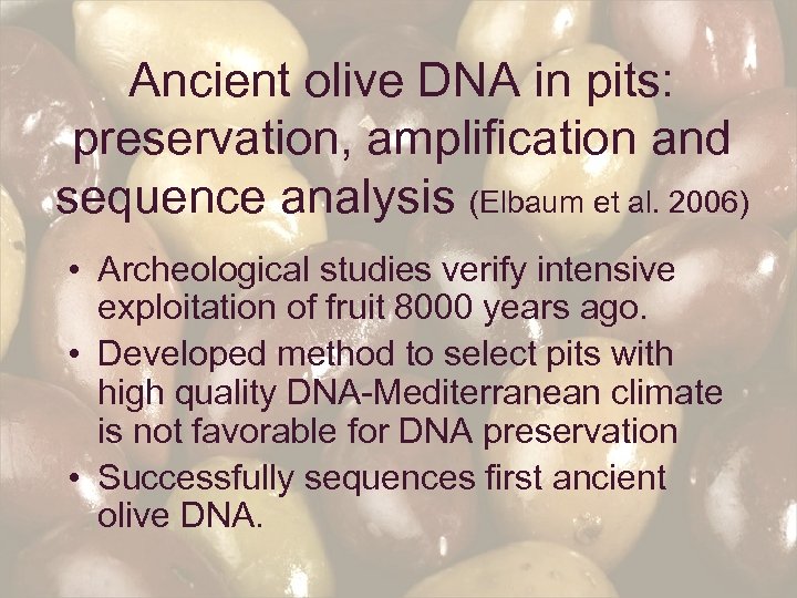 Ancient olive DNA in pits: preservation, amplification and sequence analysis (Elbaum et al. 2006)