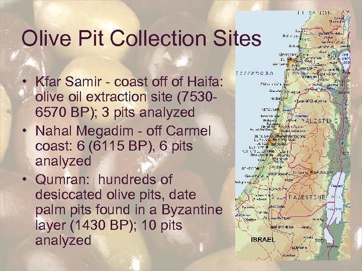 Olive Pit Collection Sites • Kfar Samir - coast off of Haifa: olive oil