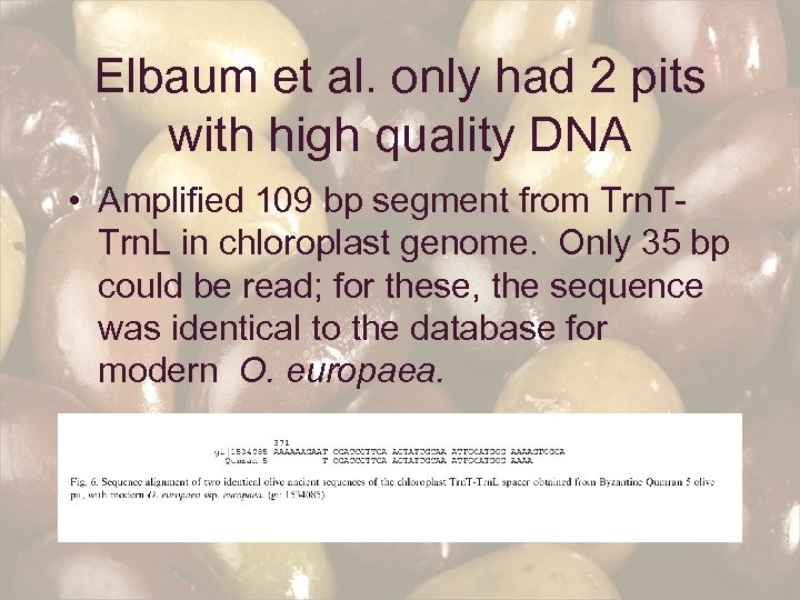 Elbaum et al. only had 2 pits with high quality DNA • Amplified 109