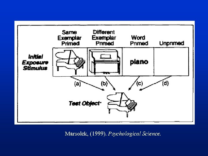 Marsolek, (1999). Psychological Science. 