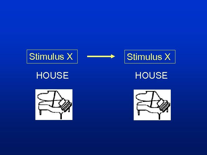Stimulus X HOUSE 