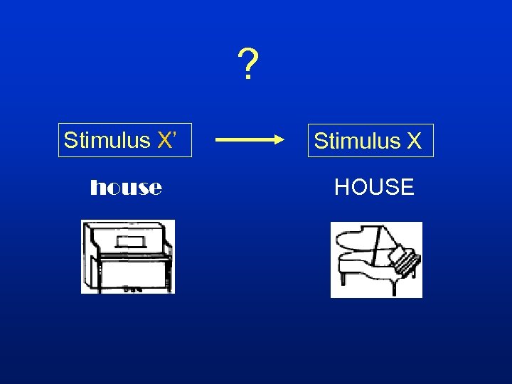 ? Stimulus X’ Stimulus X house HOUSE 