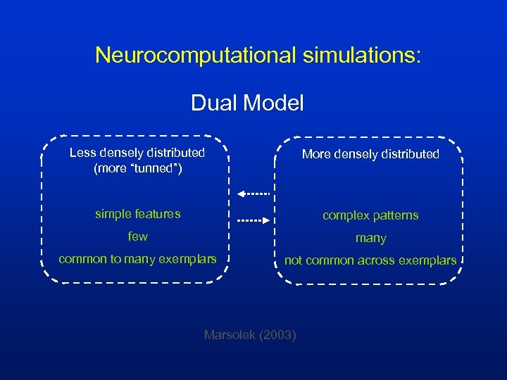Neurocomputational simulations: Dual Model Less densely distributed (more “tunned”) More densely distributed simple features