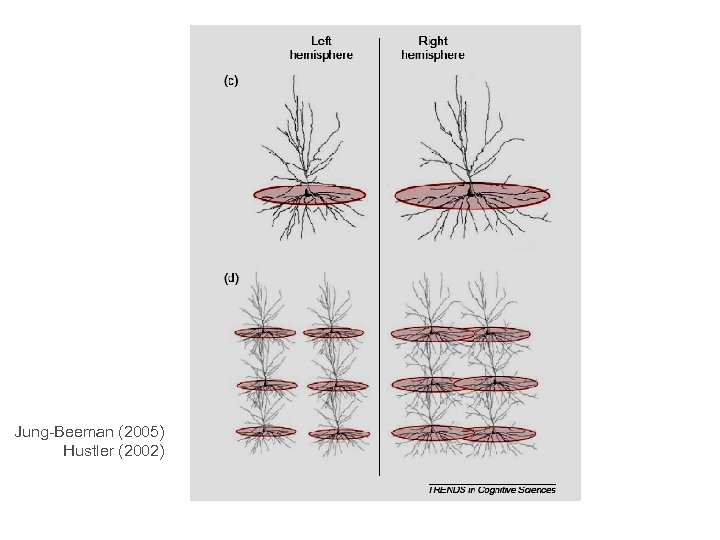 Jung-Beeman (2005) Hustler (2002) 