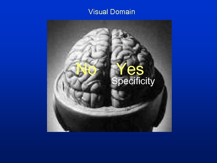 Visual Domain No Yes Specificity 