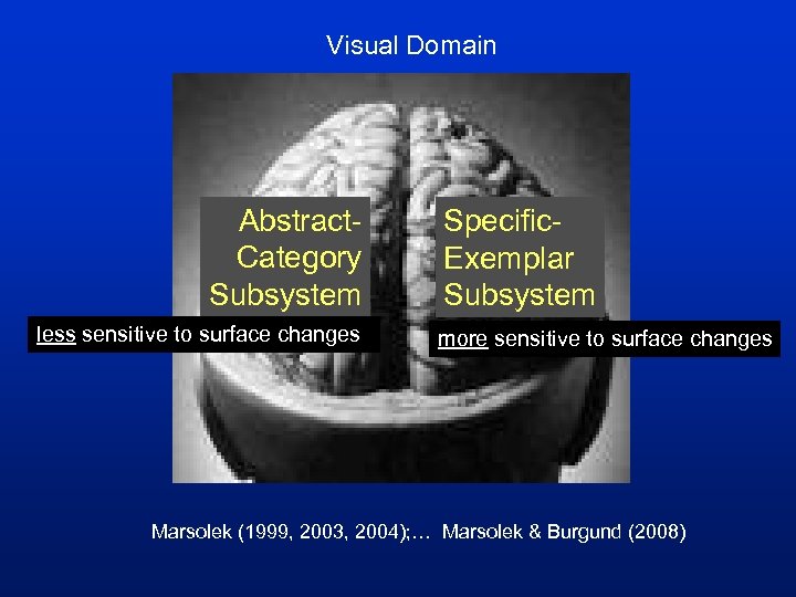 Visual Domain Abstract. Category Subsystem less sensitive to surface changes Specific. Exemplar Subsystem more