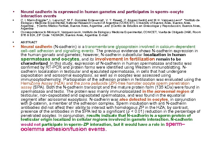  • Neural cadherin is expressed in human gametes and participates in sperm–oocyte interaction