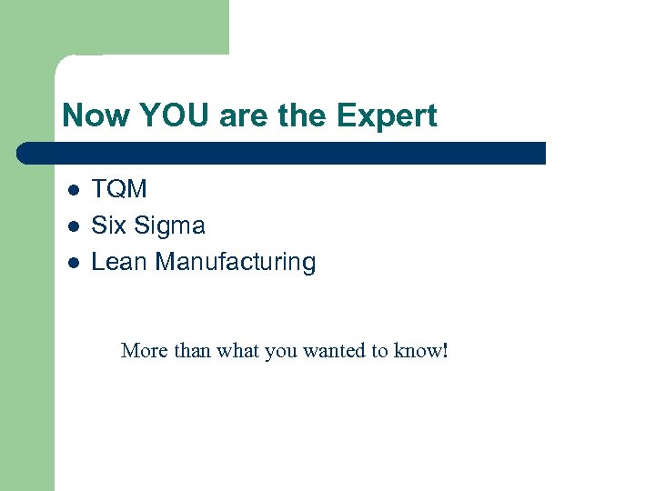 Now YOU are the Expert l l l TQM Six Sigma Lean Manufacturing More