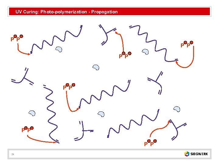 UV Curing: Photo-polymerization - Propagation . . P P 24 