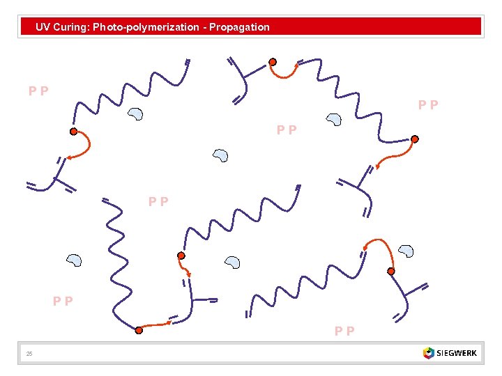 UV Curing: Photo-polymerization - Propagation PP PP PP 25 