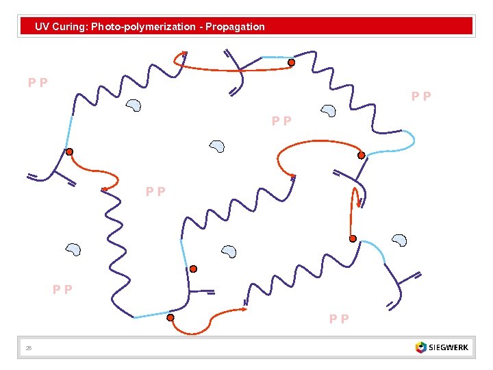 UV Curing: Photo-polymerization - Propagation PP PP PP 26 