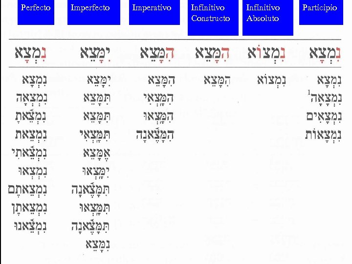 Perfecto Fuerte Imperfecto Imperativo Infinitivo Constructo Infinitivo Absoluto Participio 