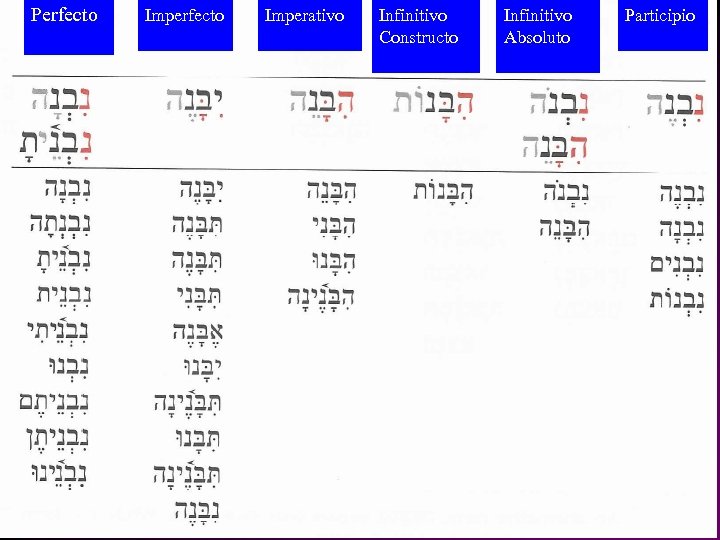 Perfecto Imperativo Infinitivo Constructo Infinitivo Absoluto Participio 