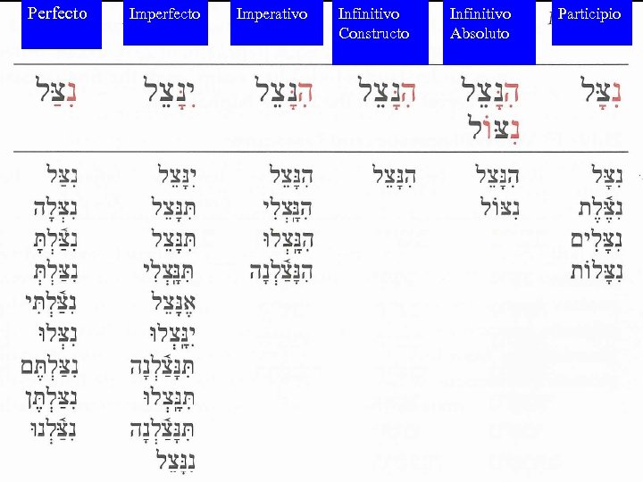 Perfecto Imperativo Infinitivo Constructo Infinitivo Absoluto Participio 