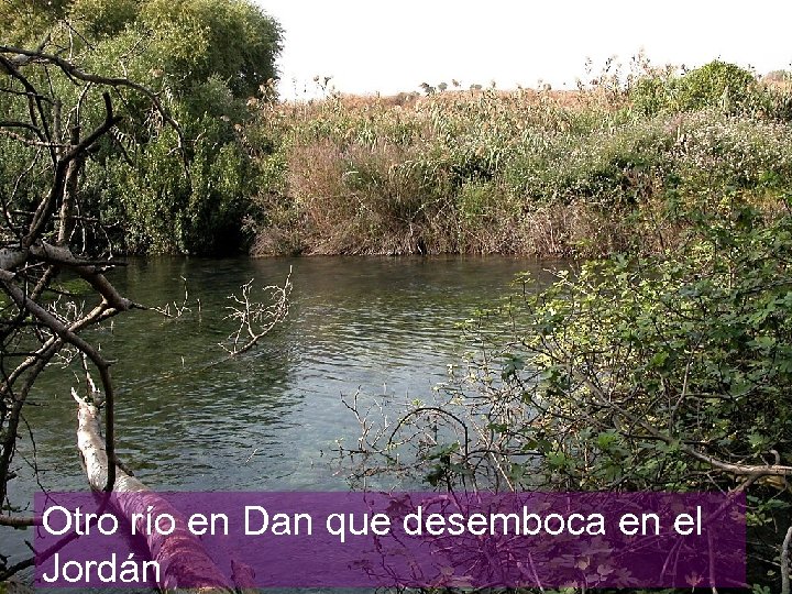 Otro río en Dan que desemboca en el Jordán 