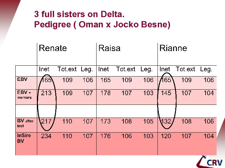 3 full sisters on Delta. Pedigree ( Oman x Jocko Besne) 
