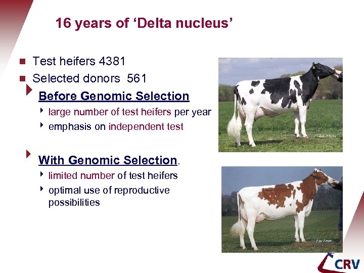 16 years of ‘Delta nucleus’ g g Test heifers 4381 Selected donors 561 Before