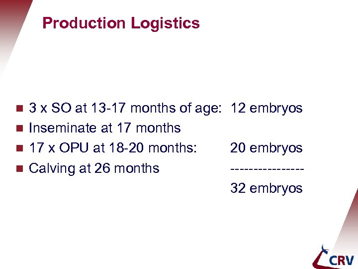 Holland Genetics Production Logistics g g 3 x SO at 13 -17 months of