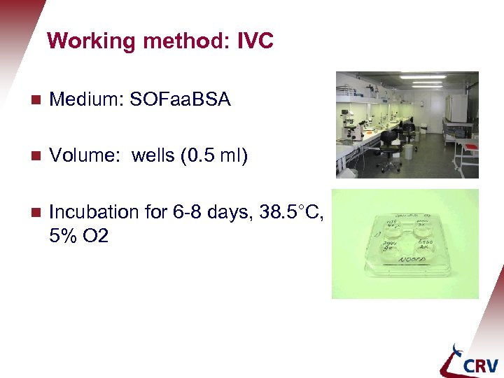 Holland Genetics Working method: IVC g Medium: SOFaa. BSA g Volume: wells (0. 5