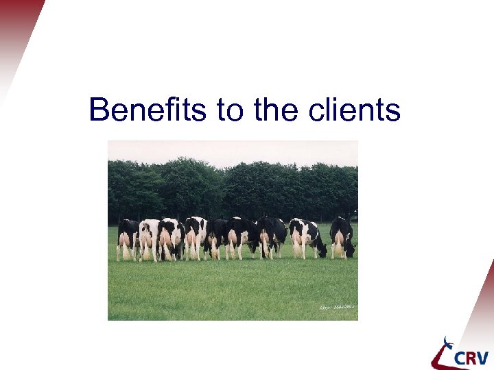 Benefits to the clients 