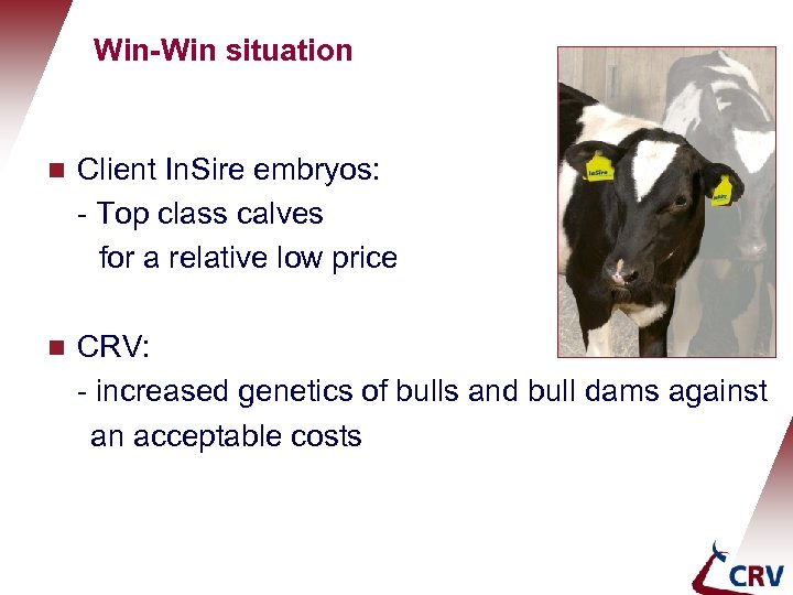 Win-Win situation g Client In. Sire embryos: - Top class calves for a relative