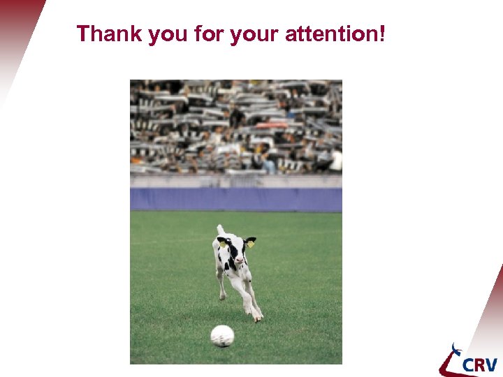 Thank you for your attention! 