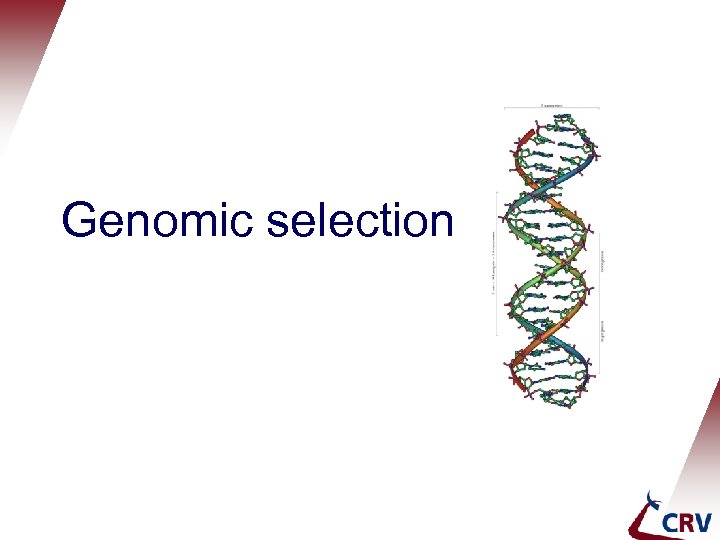 Genomic selection 