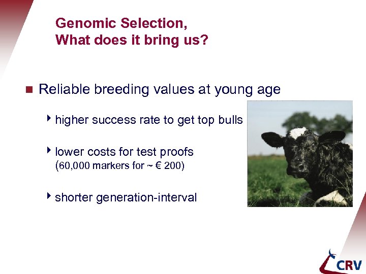 Genomic Selection, What does it bring us? g Reliable breeding values at young age