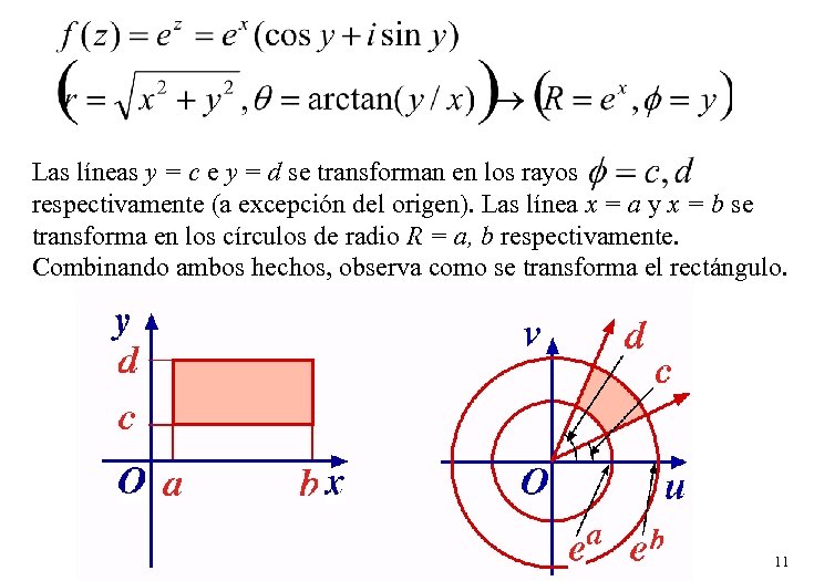 Las líneas y = c e y = d se transforman en los rayos