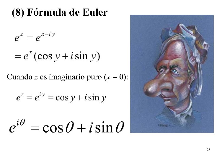 (8) Fórmula de Euler Cuando z es imaginario puro (x = 0): 23 