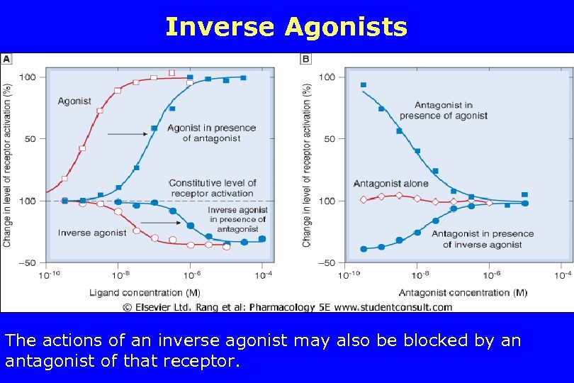 Inverse Agonists The actions of an inverse agonist may also be blocked by an