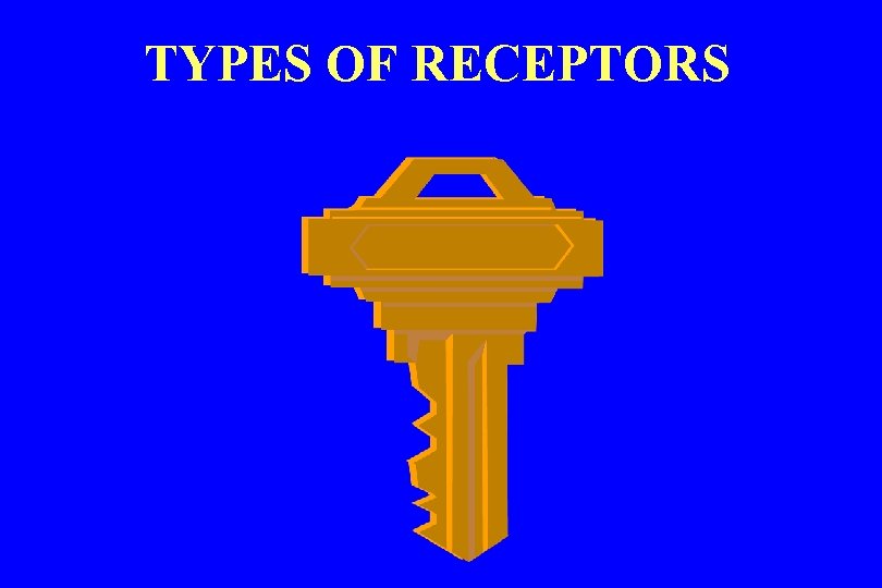 TYPES OF RECEPTORS 