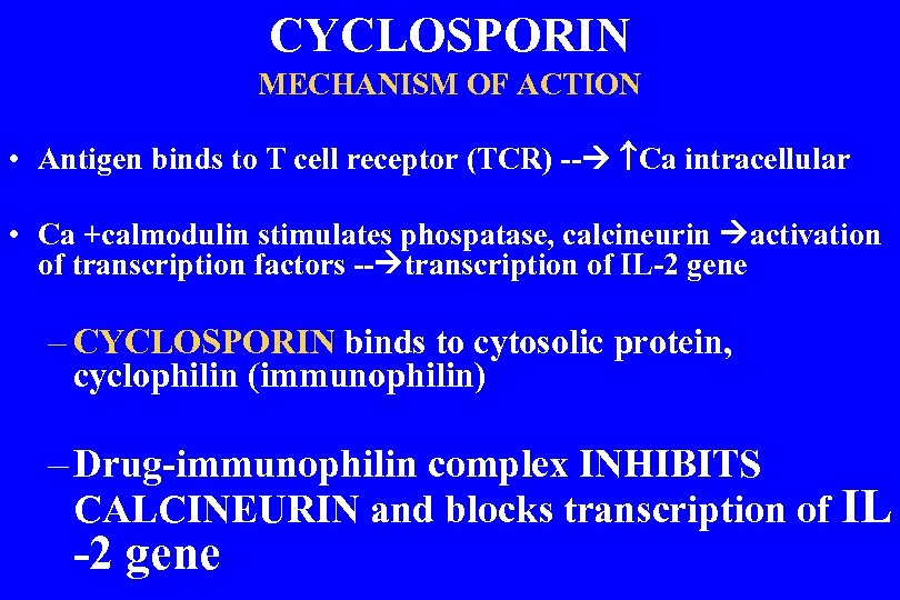 CYCLOSPORIN MECHANISM OF ACTION • Antigen binds to T cell receptor (TCR) -- Ca
