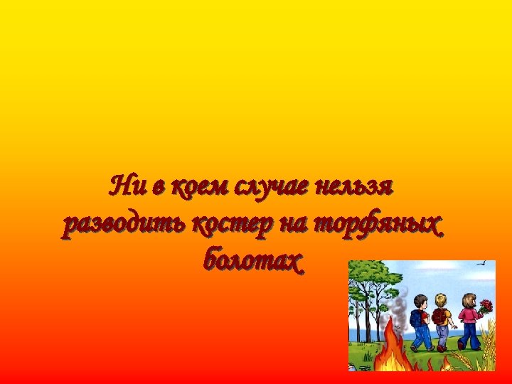 Ни в коем случае нельзя разводить костер на торфяных болотах 