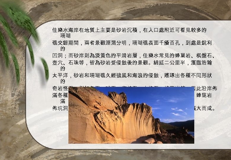 佳樂水海岸在地質上主要是砂岩沉積，在入口處附近可看見較多的 珊瑚 礁交錯期間，兩者景觀涇渭分明，珊瑚礁表面千瘡百孔，到處是銳利 的 凹洞；而砂岸則為淡黃色的平滑岩層，佳樂水常見的蜂巢岩、棋盤石、 壺穴、石珠等，皆為砂岩受侵蝕後的景觀。綿延二公里半，濱臨浩瀚 的 太平洋，砂岩和珊瑚礁久經強風和海浪的侵蝕，雕琢出各種不同形狀 的 奇岩怪石，例如兔石、球石、海蛙石、方格石、蜂窩岩等，因此沿岸佈 滿各種奇特巨石，有些因節理形似方格狀，形成棋盤石景觀；蜂窩岩 滿 佈坑洞的外形，主要是結合海面的生物碎屑，經海蝕或風蝕擴大而成。 