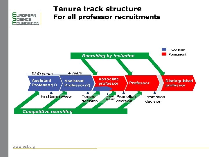 Tenure track structure For all professor recruitments www. esf. org 