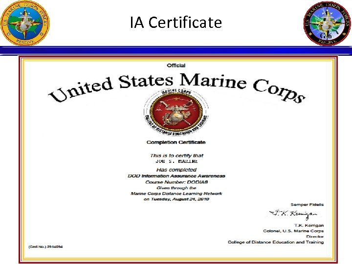 IA Certificate 4 
