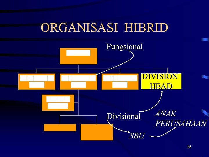 ORGANISASI HIBRID Fungsional DIVISION HEAD Divisional ANAK PERUSAHAAN SBU 36 