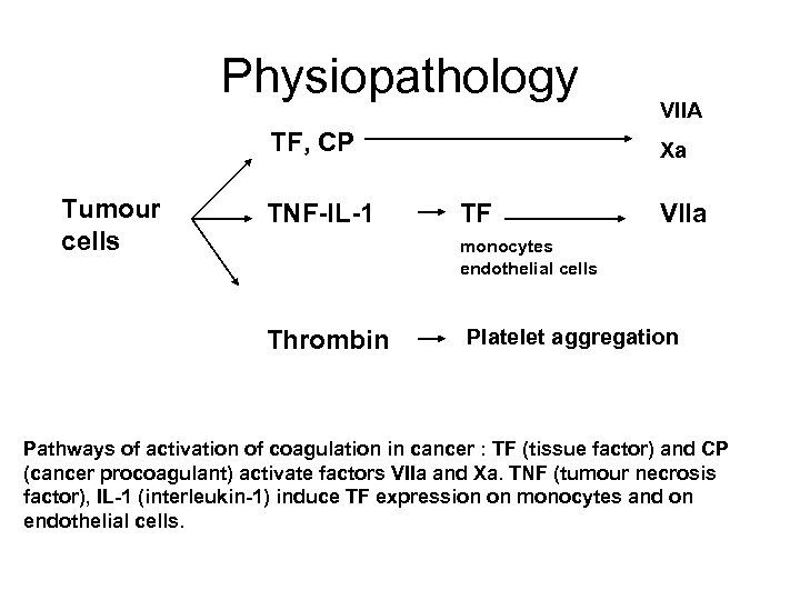 Physiopathology TF, CP Tumour cells TNF-IL-1 VIIA Xa TF VIIa monocytes endothelial cells Thrombin