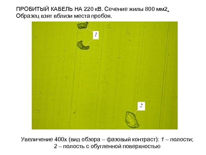 ПРОБИТЫЙ КАБЕЛЬ НА 220 к. В. Сечение жилы 800 мм 2. Образец взят вблизи