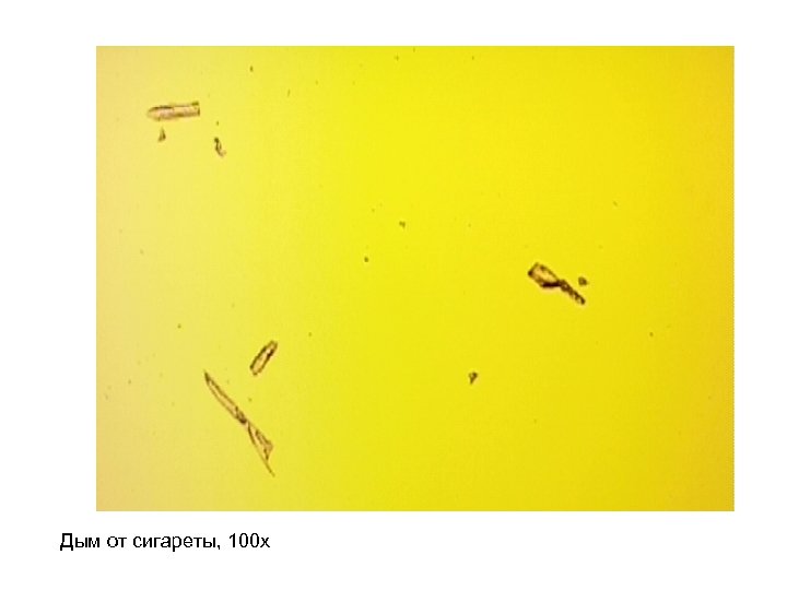 Дым от сигареты, 100 х 