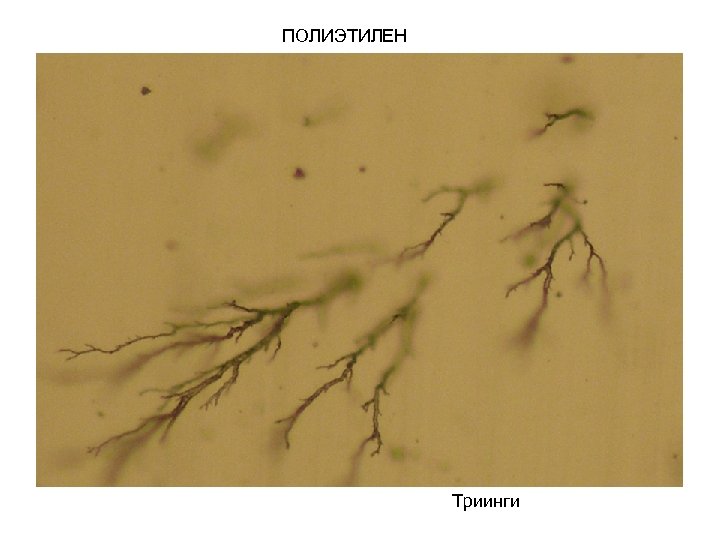 ПОЛИЭТИЛЕН Триинги 