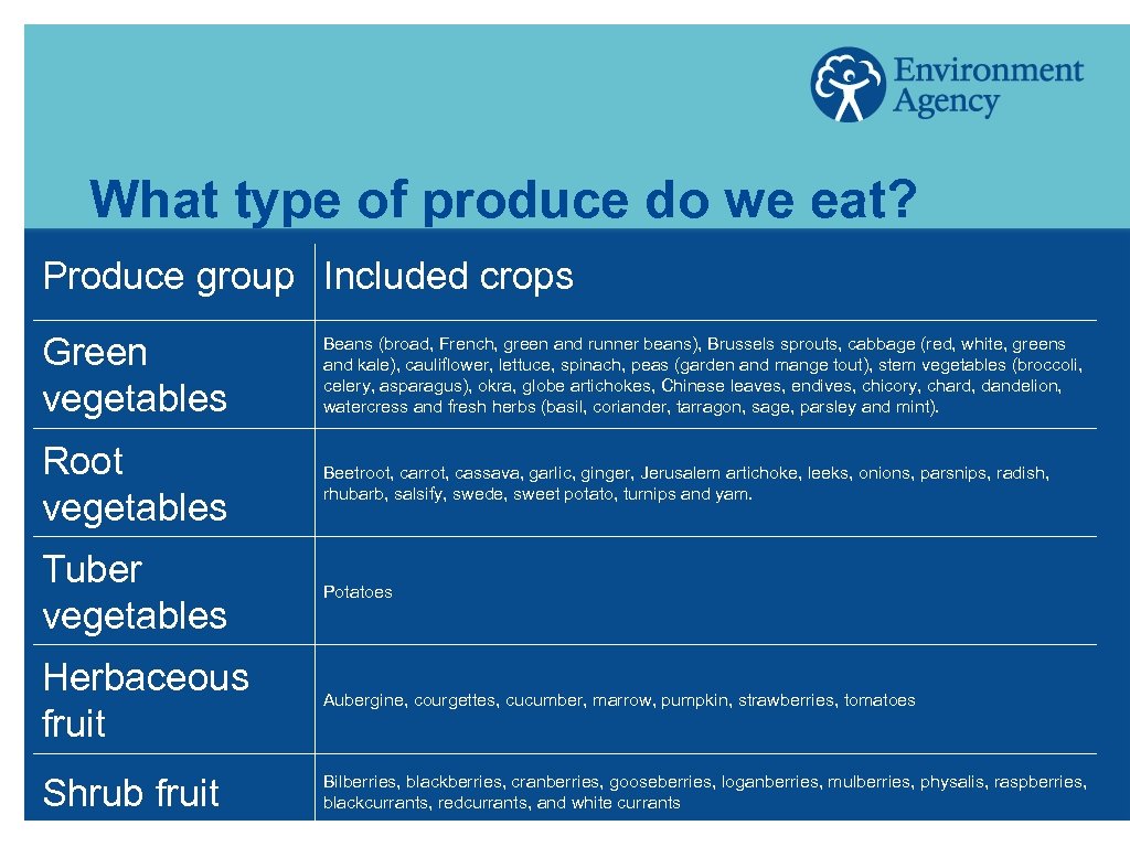 What type of produce do we eat? Produce group Included crops Green vegetables Beans