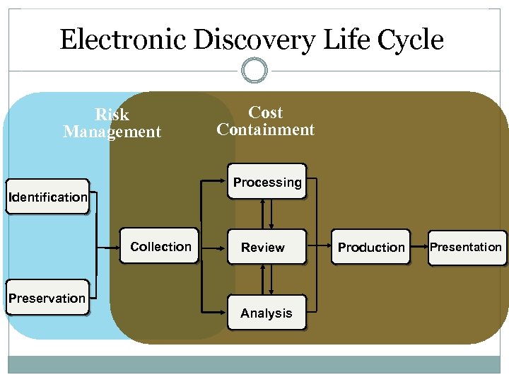 Electronic Discovery Life Cycle Risk Management Cost Containment Processing Identification Collection Review Preservation Analysis