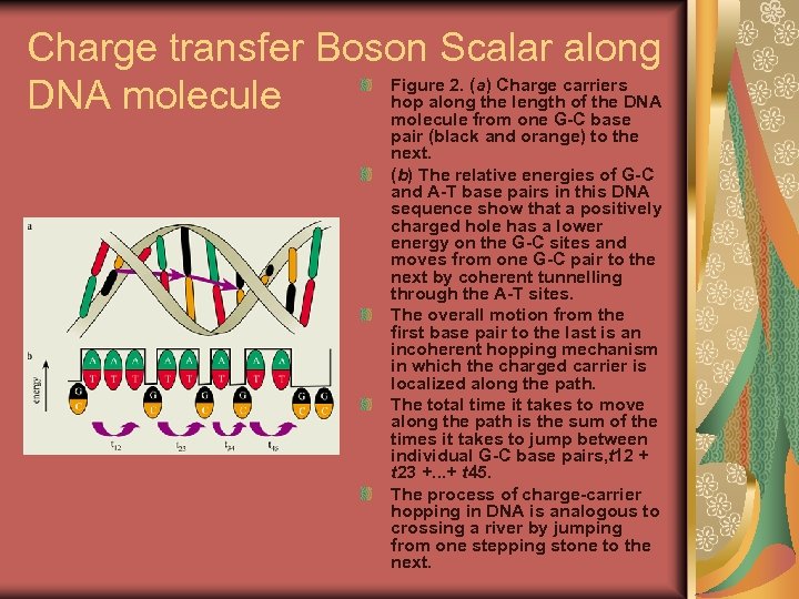 Charge transfer Boson Scalar along Figure 2. (a) Charge carriers hop along the length