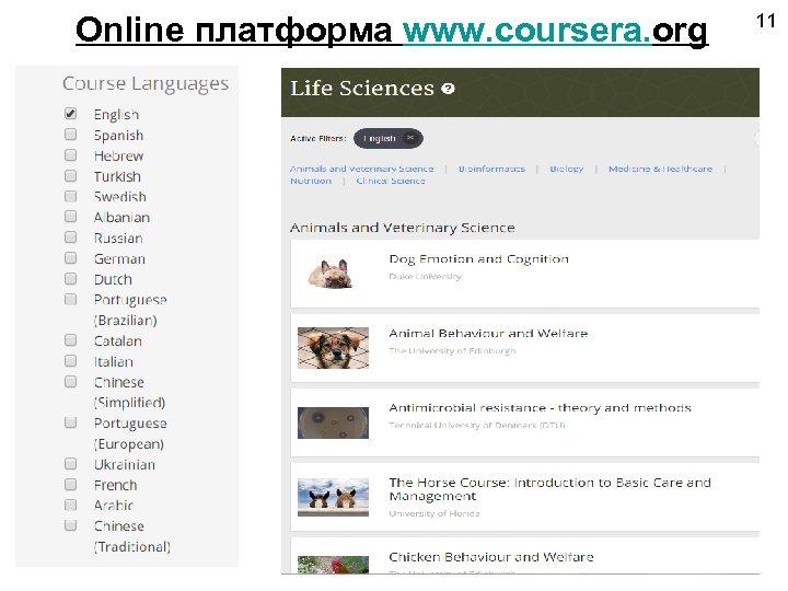 Online платформа www. coursera. org 11 